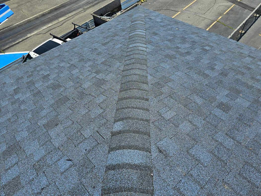 Shingle Roof